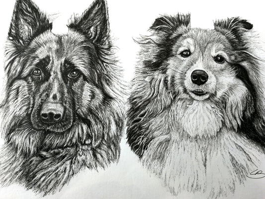 Tegning af hunde bestilling