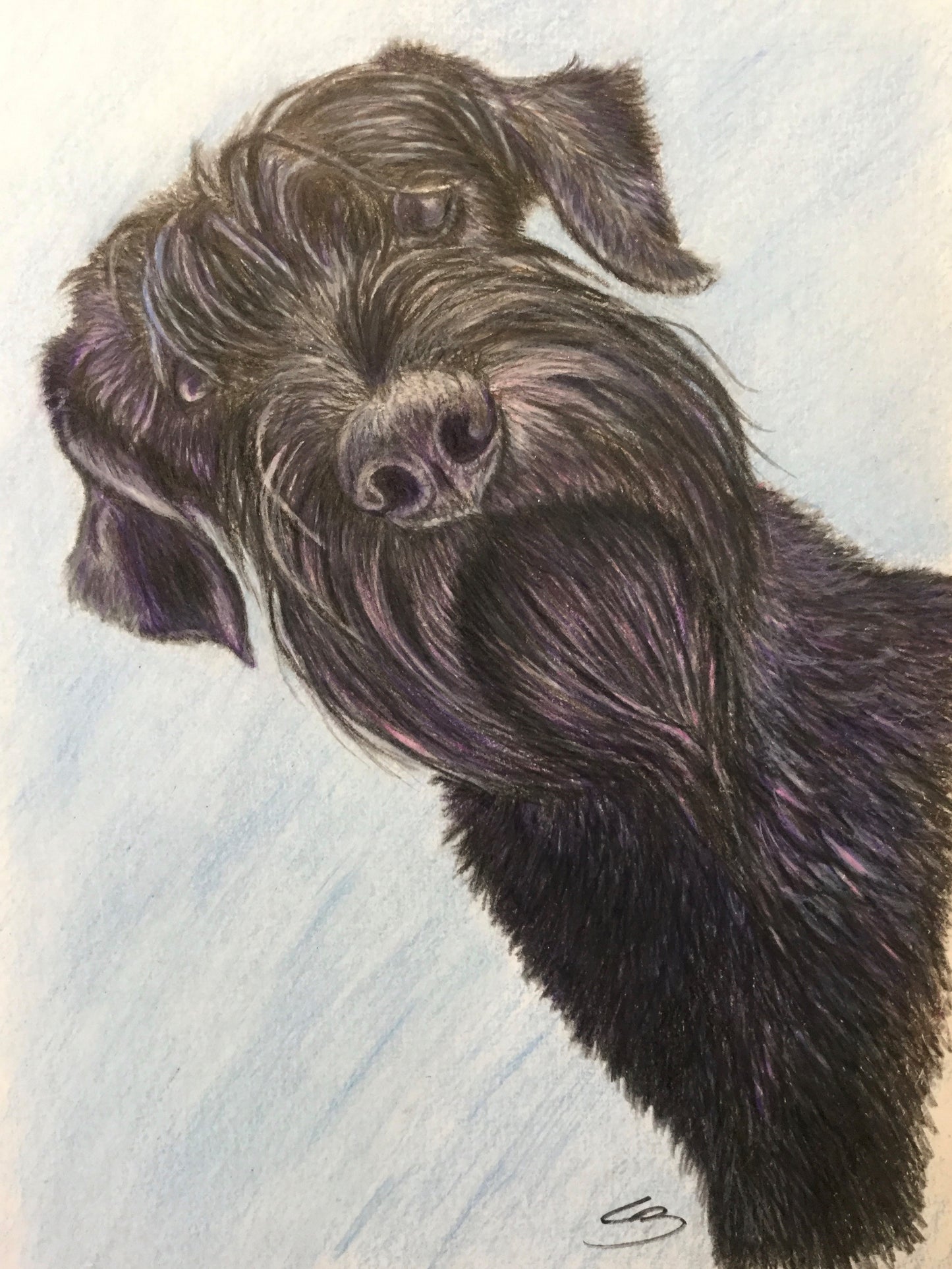 Bestilling af hundeportrætter