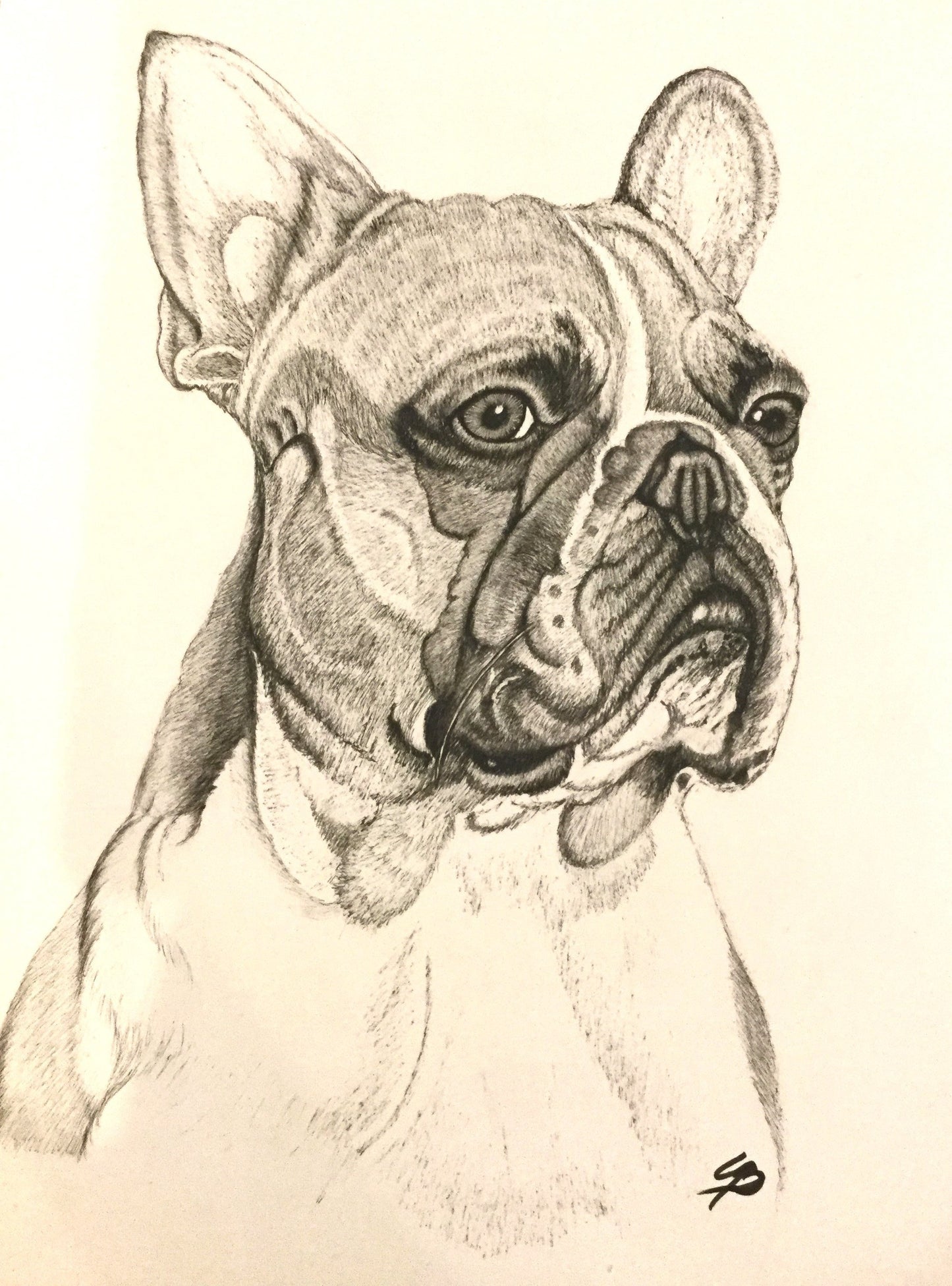 Hunde tegning