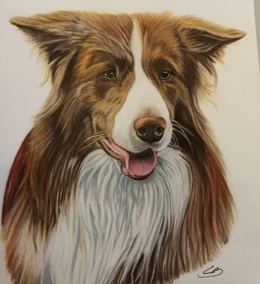 Østrigsk hundeportræt tegnet af BruunsArt