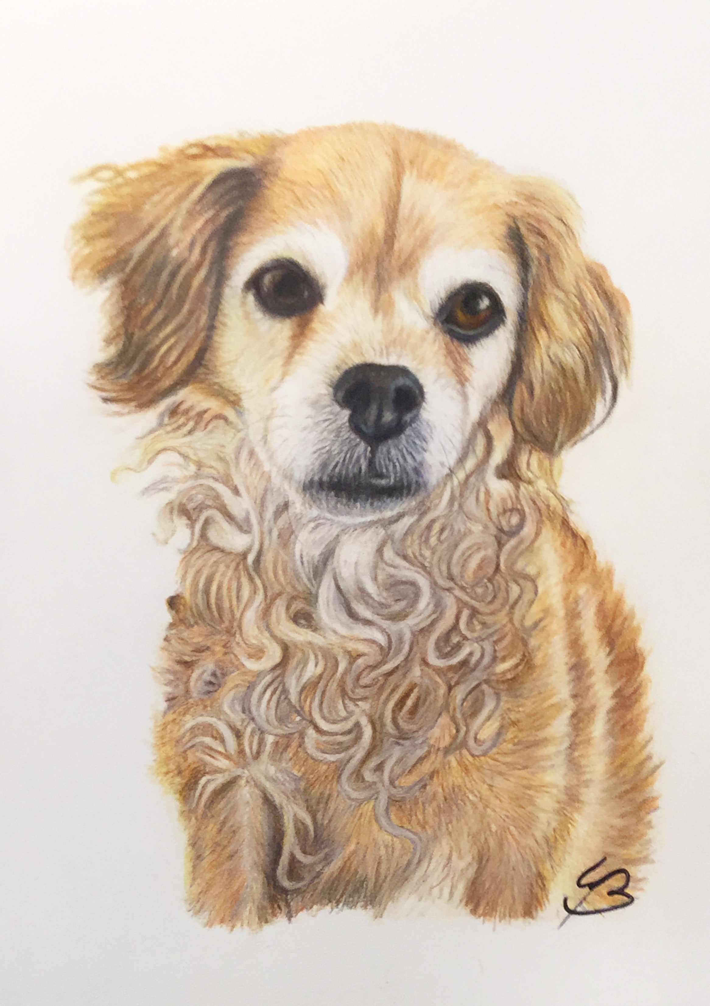 Fødselsdagsgave tegnet i farveblyanter, Bruuns Art