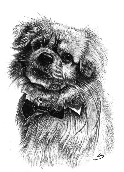 Tegnet til hundekalenderen 2018