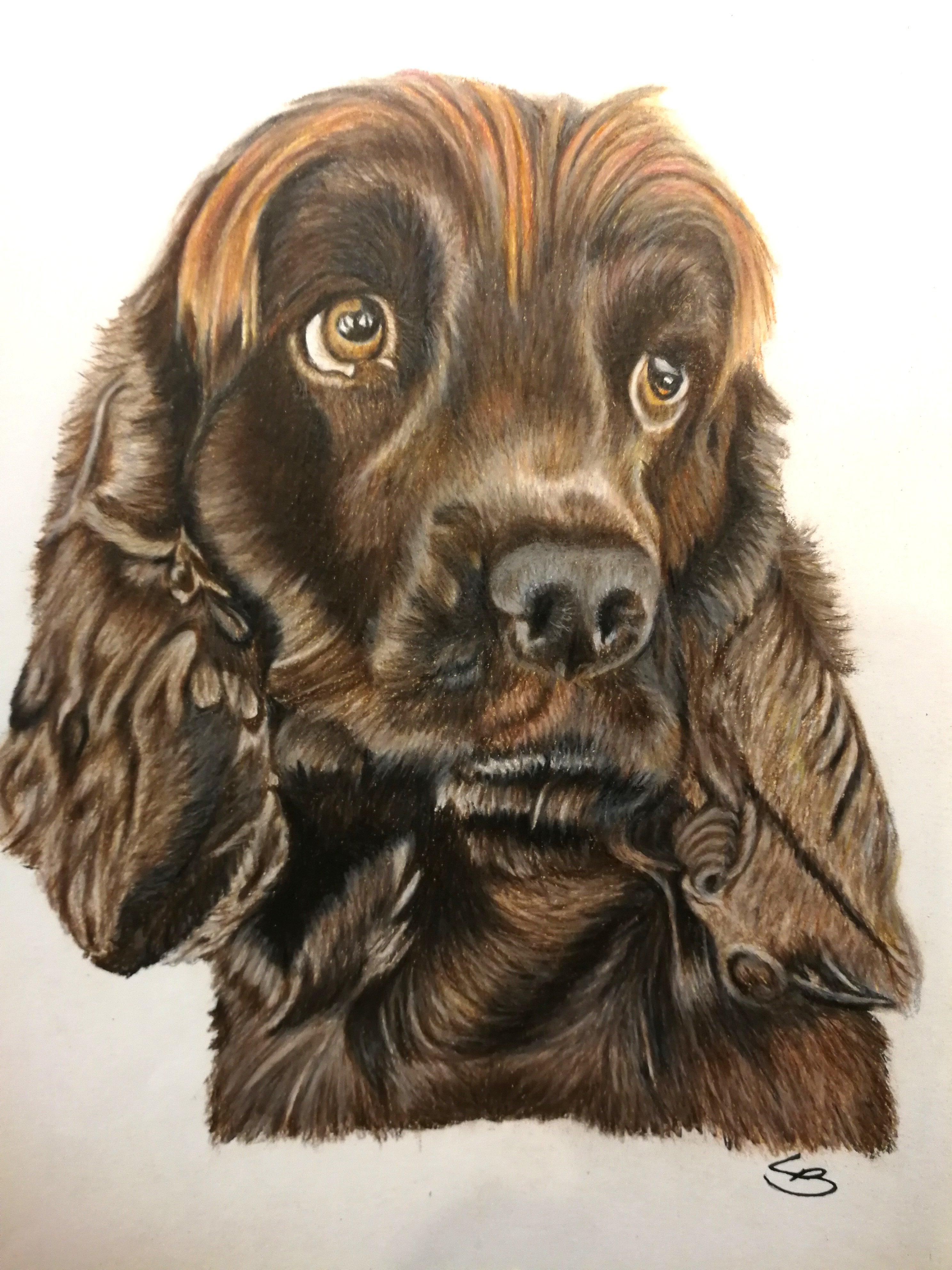 Julegave til Færøerne