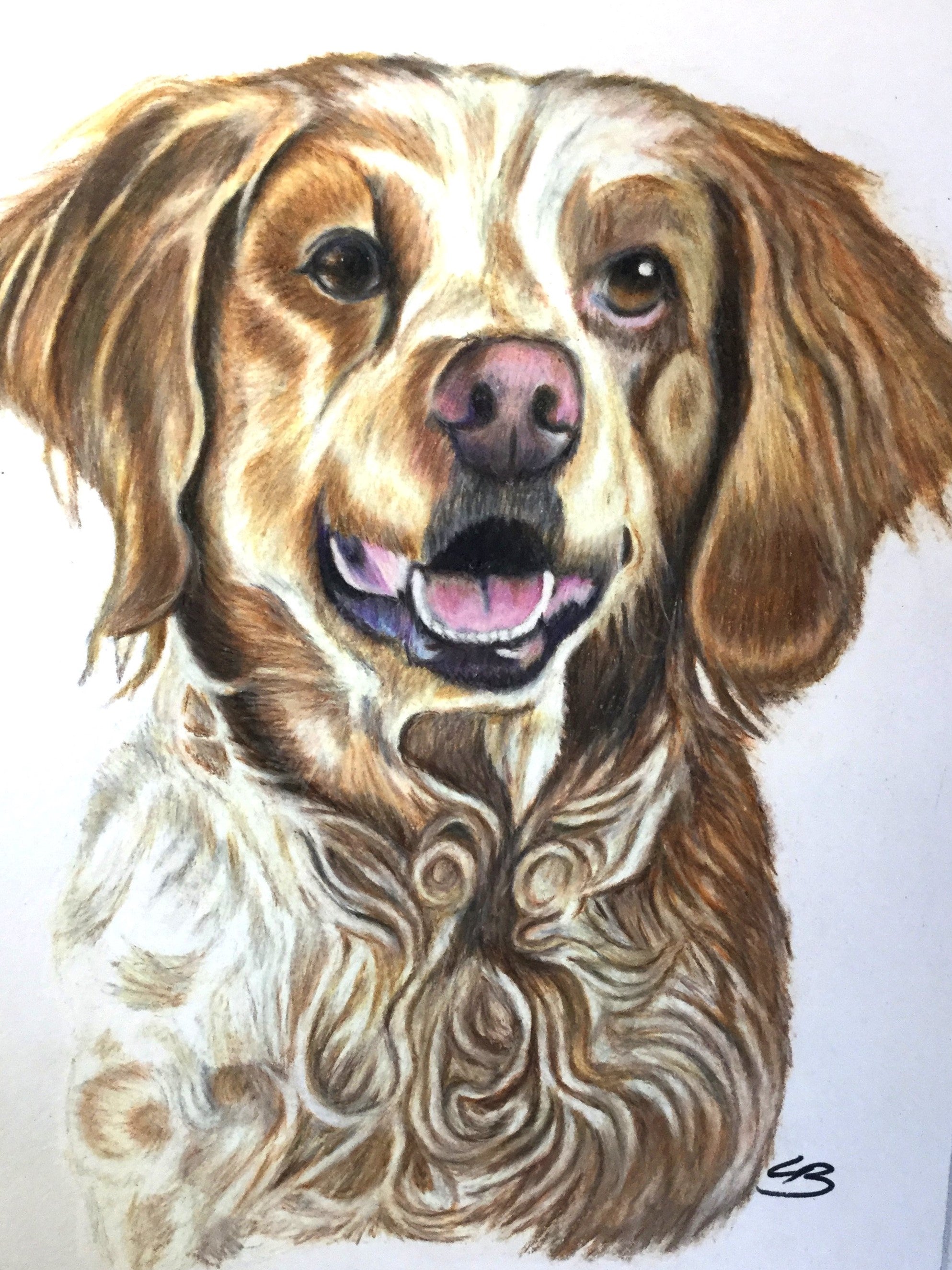 Fødselsdagsgave håndtegnet hundeportræt, BruunsArt