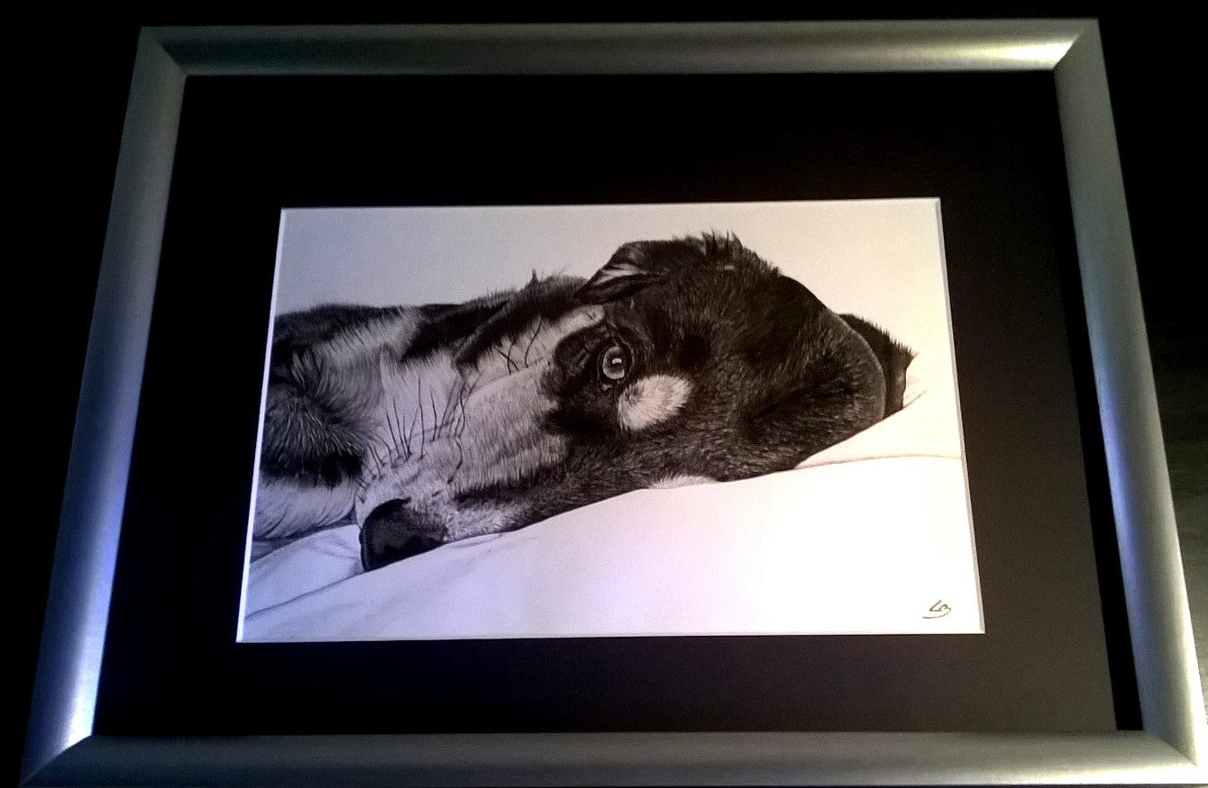 Thomas Rathsack´s hund Selma