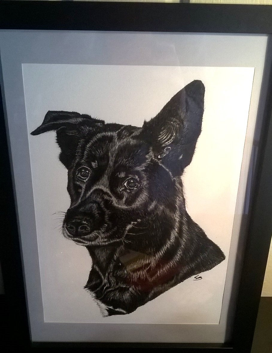 Hundeportræt tegnet i tusch