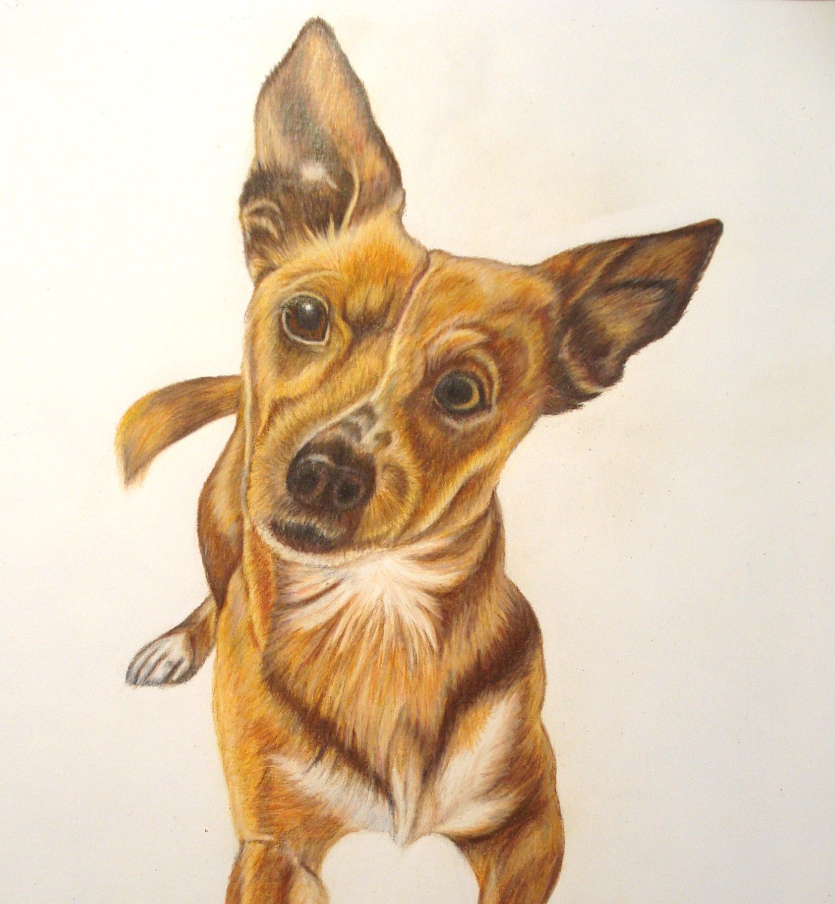 Julegave, tegnet i farveblyanter, BruunsArt