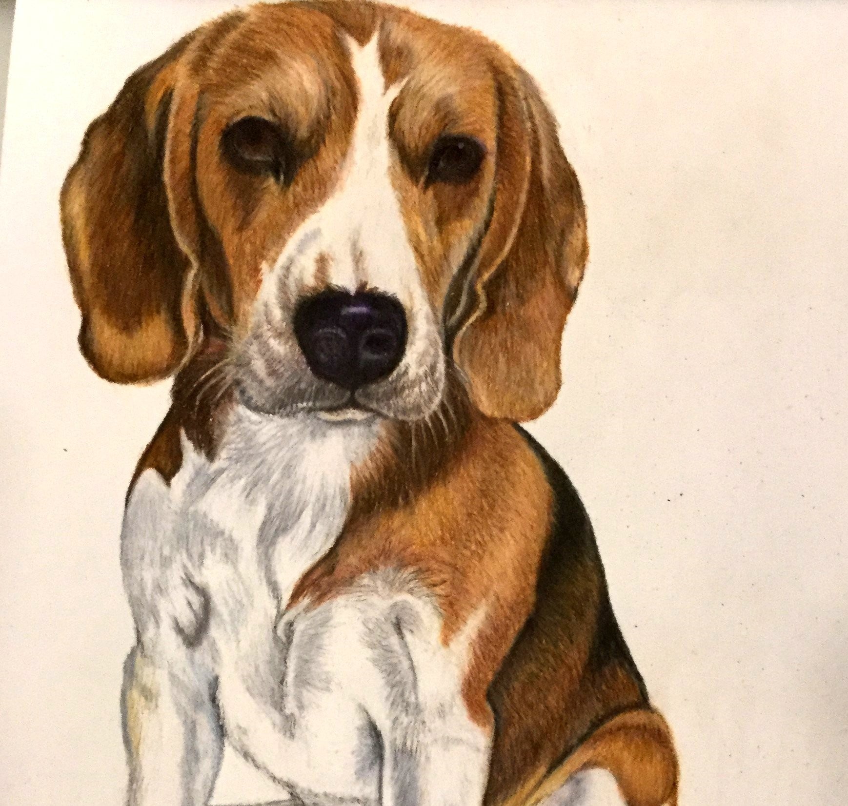 Beagle et evigt minde, BruunsArt