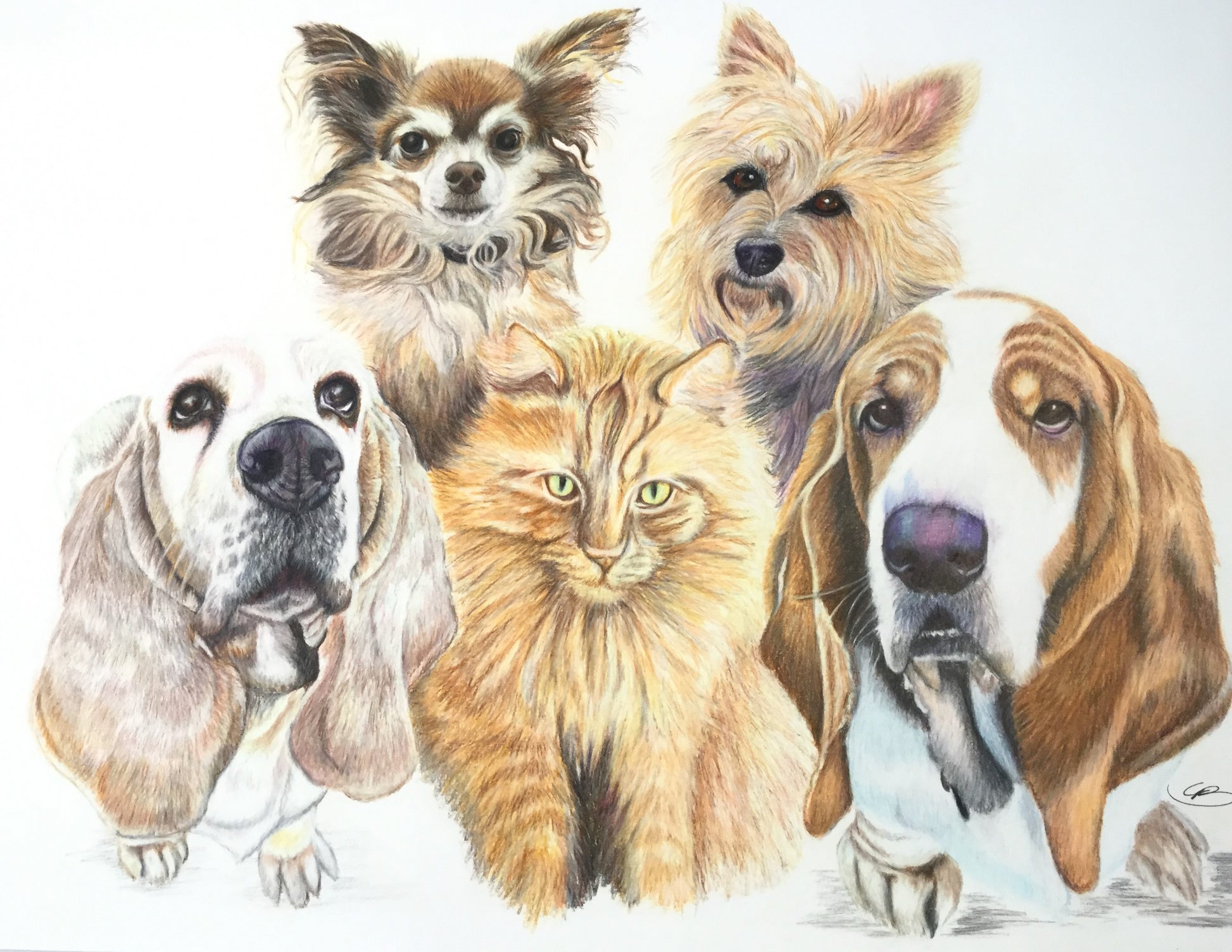 portræt tegning af dyr